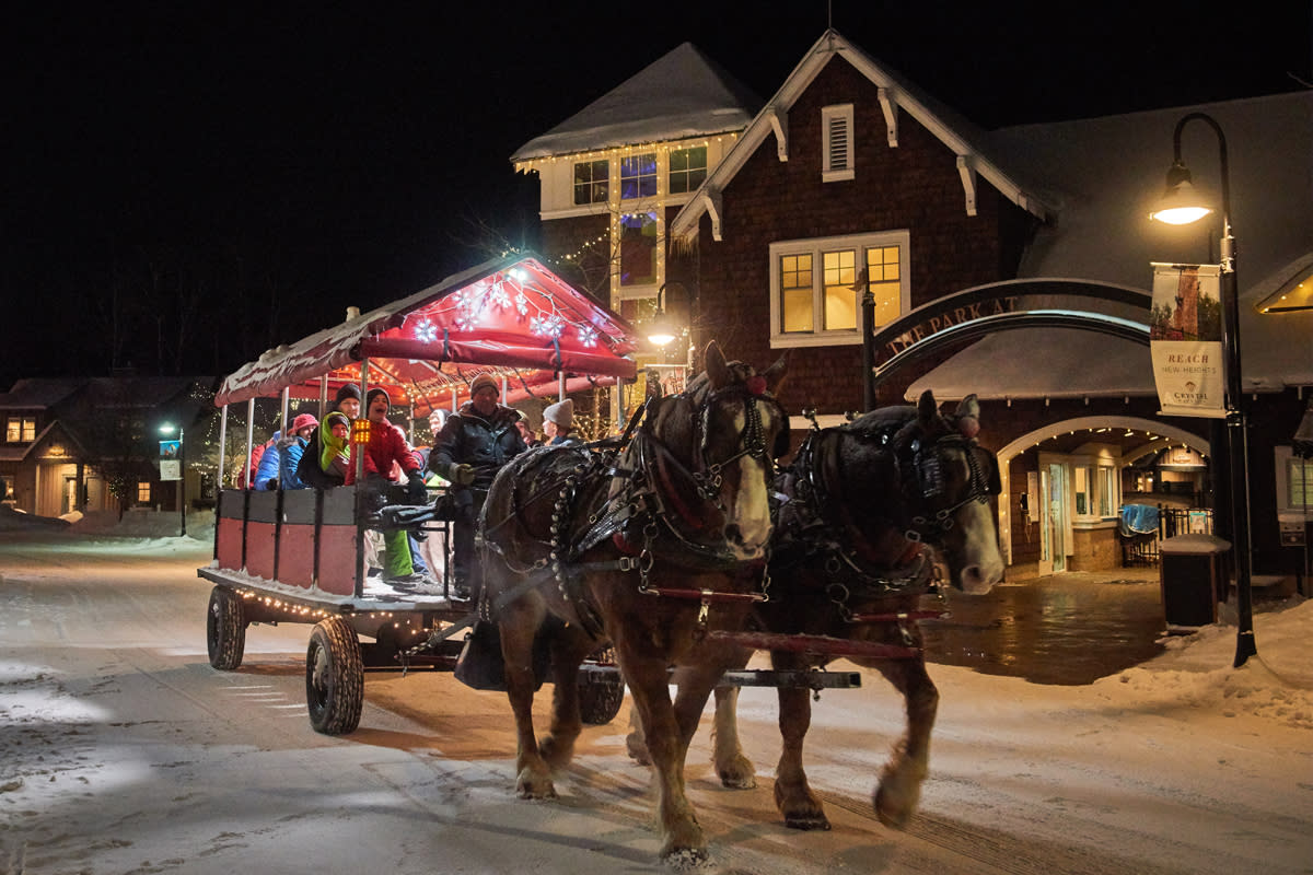 Horse Drawn Surrey Rides at Crystal Mountain ...