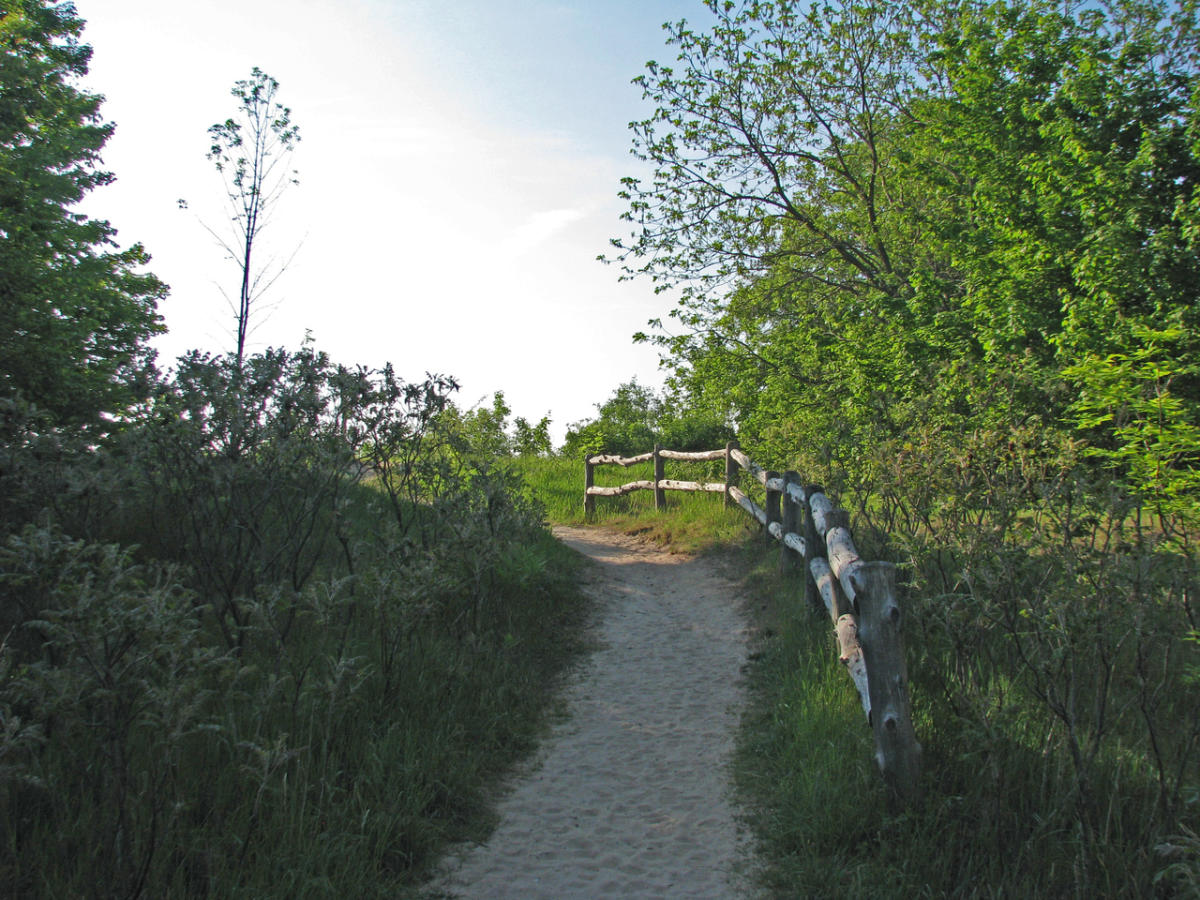 the-village-at-grand-traverse-commons-traverse-city-mi-49684