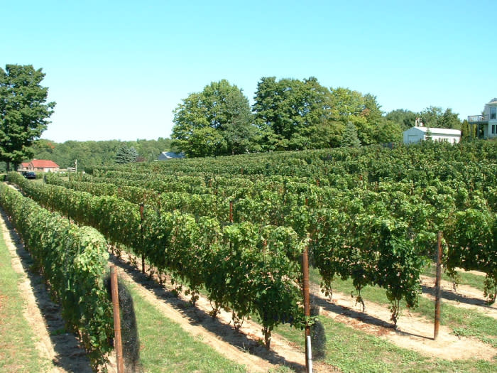 Bowers Harbor Vineyards Traverse City, MI 49686