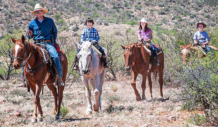 Elkhorn Ranch | Tucson, AZ 85736
