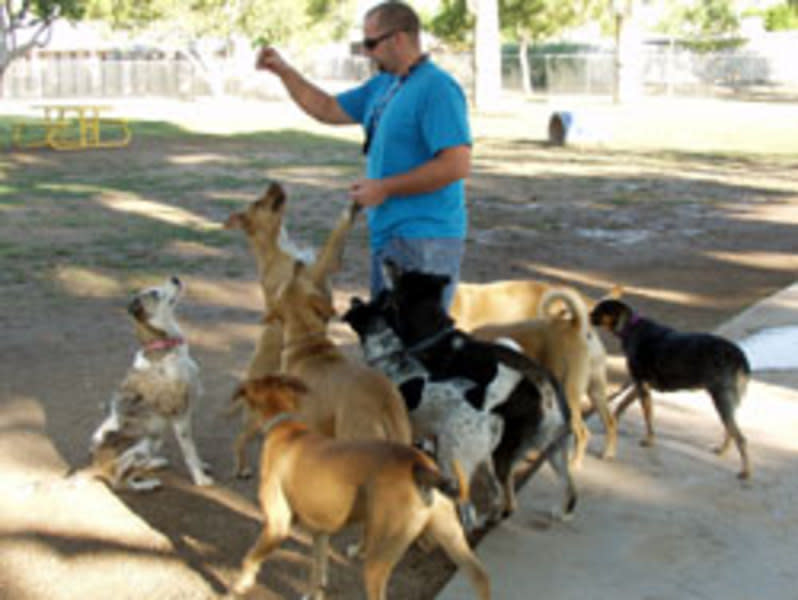 Jacobs Park and Dog Park Tucson, AZ 85705