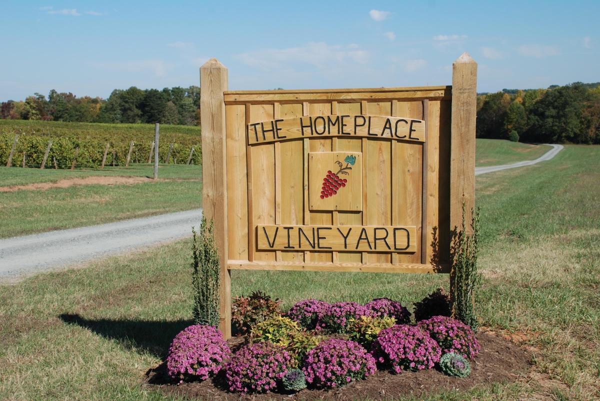 The Homeplace Vineyard