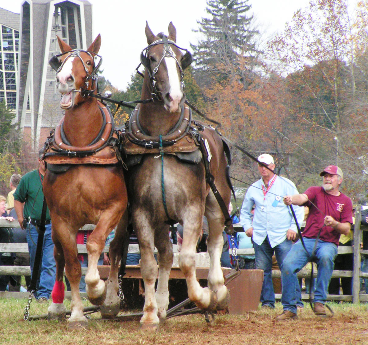 Blue Ridge Folklife Festival