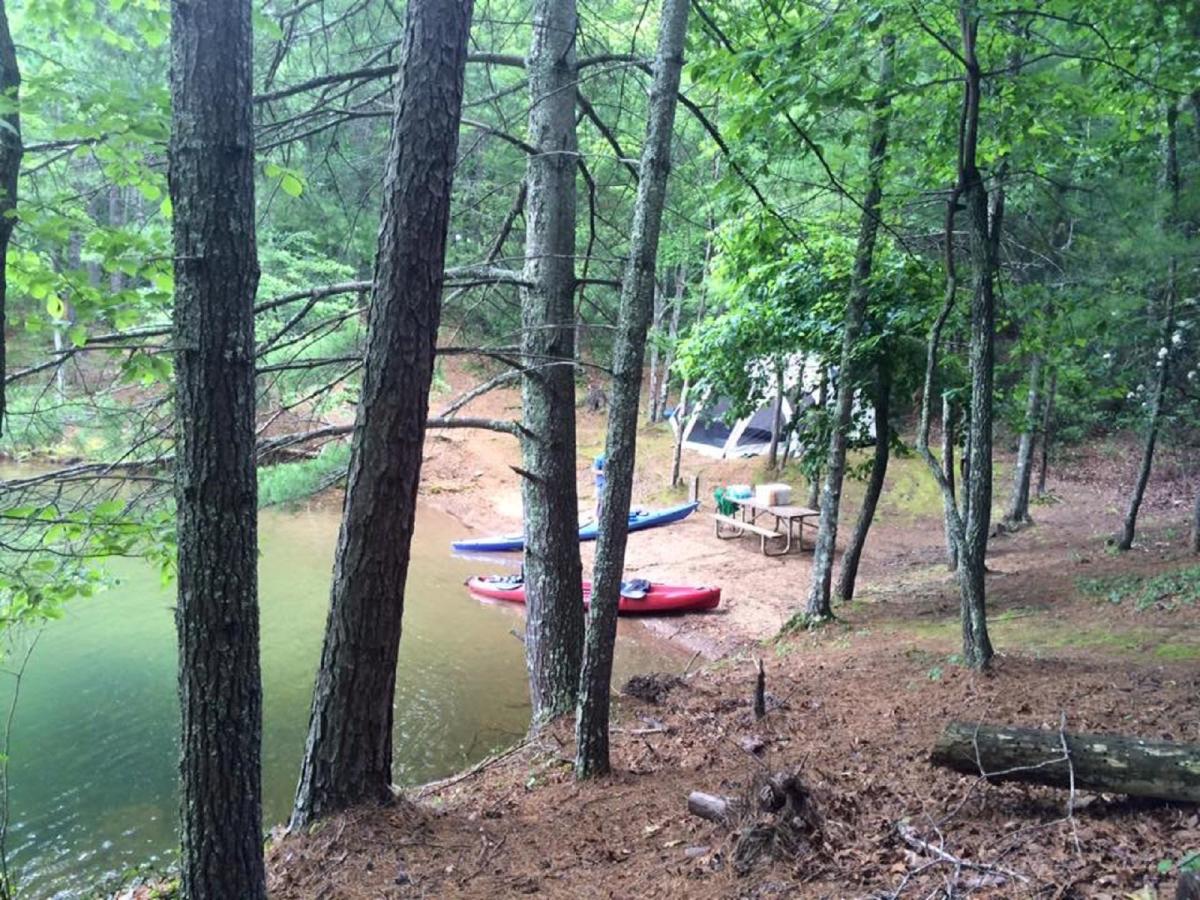 Salthouse Branch Park at Philpott Lake