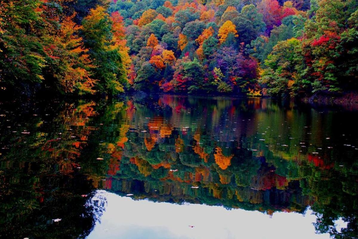 North Fork of Pound Reservoir