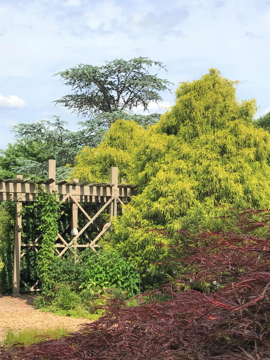 Gardening in the Valley