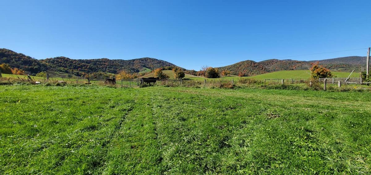 Burke's Garden Hostel