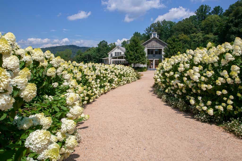 Pippin Hill Farm & Vineyards