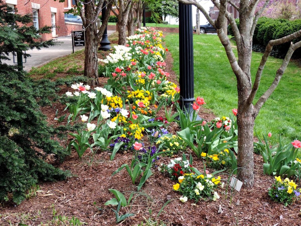 Wharton Memorial Garden