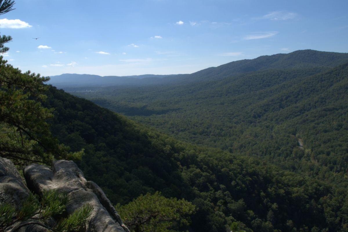 Washington & Jefferson National Forest Clinch Ranger District