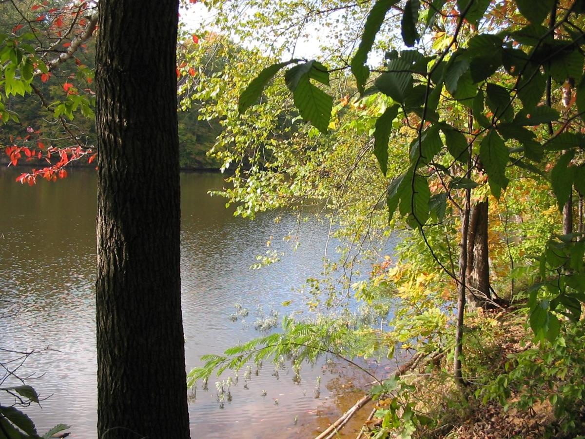 Fountainhead Regional Park