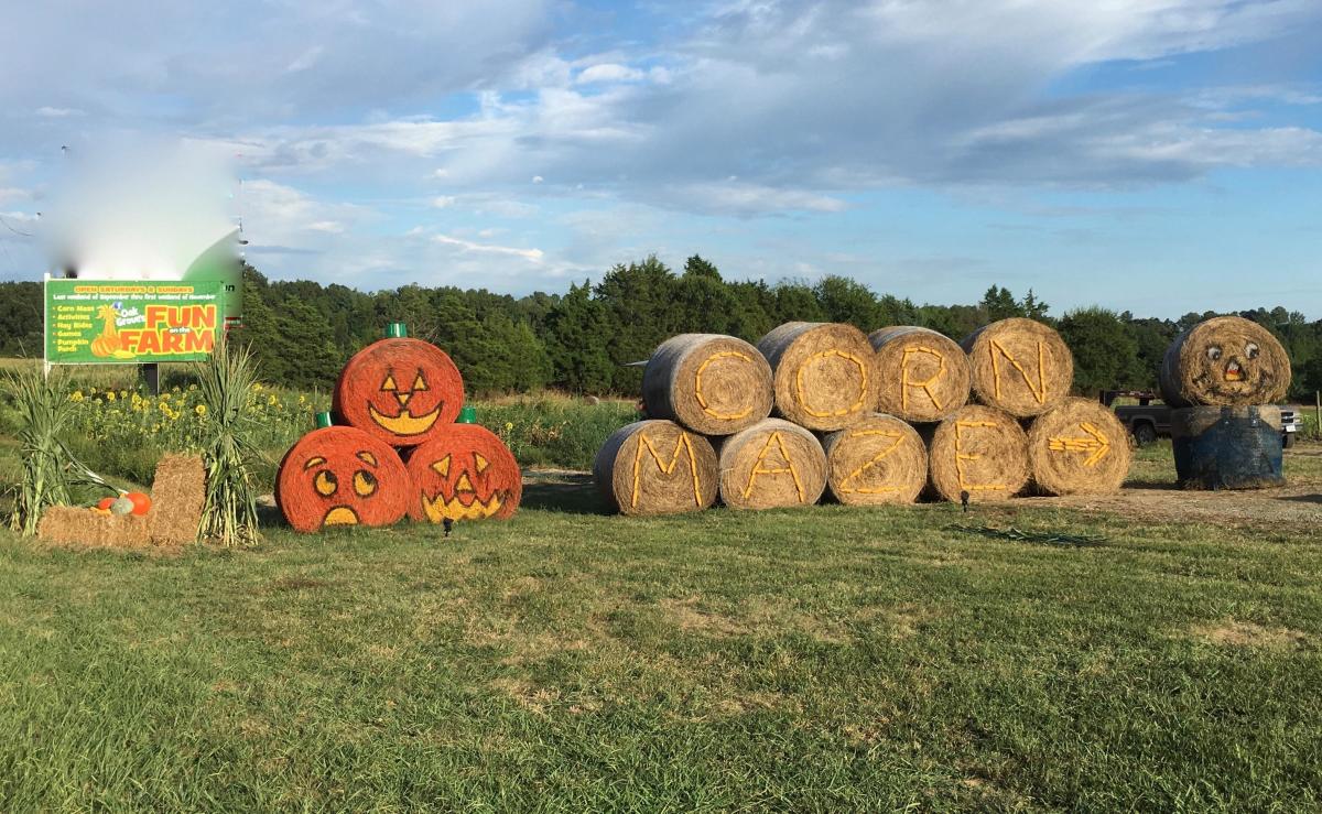 Oak Grove's Fun on the Farm