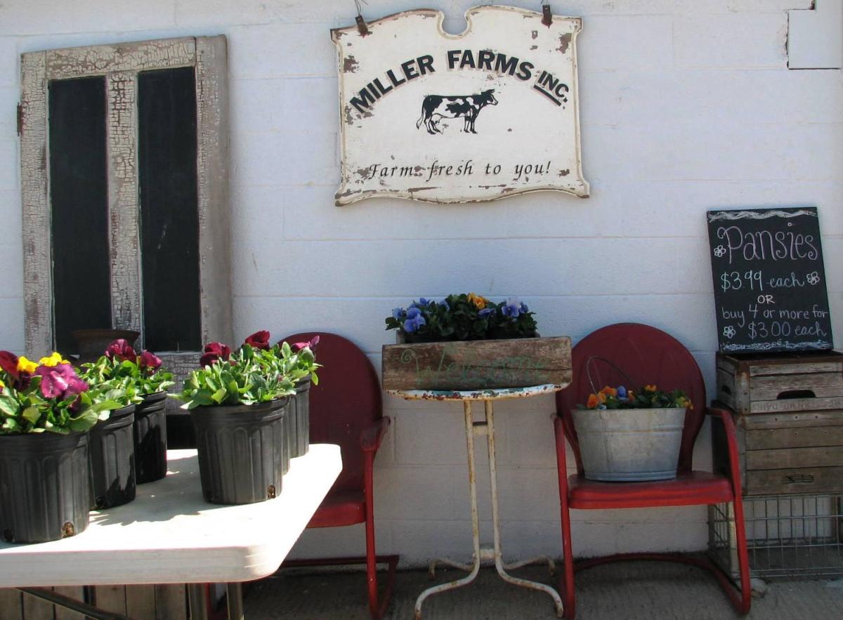 Miller Farms Market