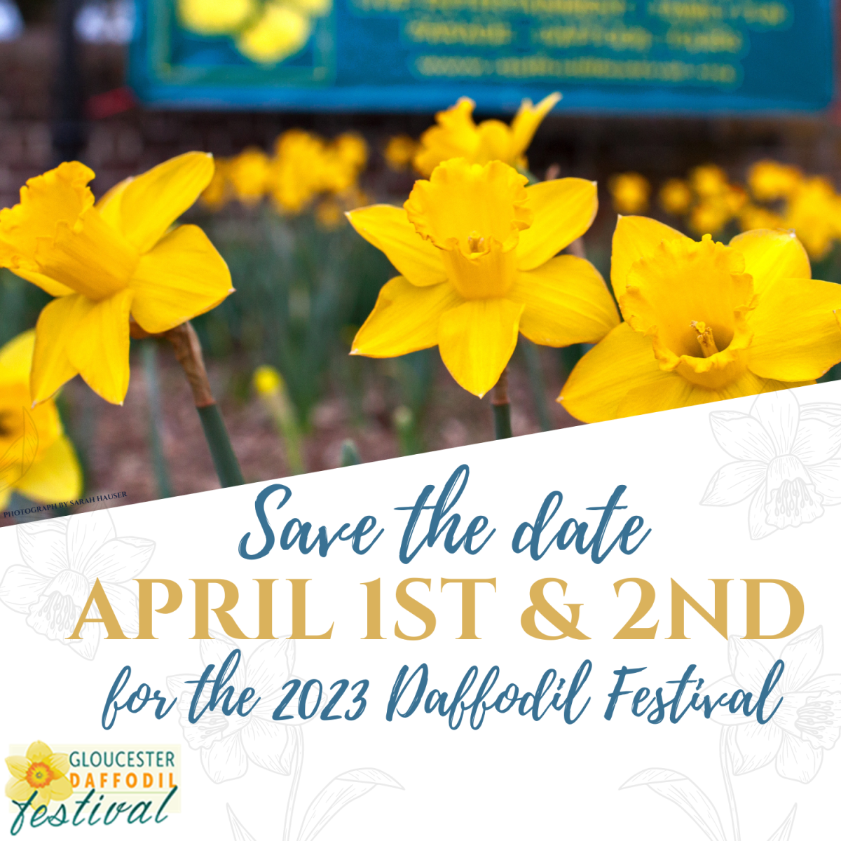 2023 Daffodil Festival