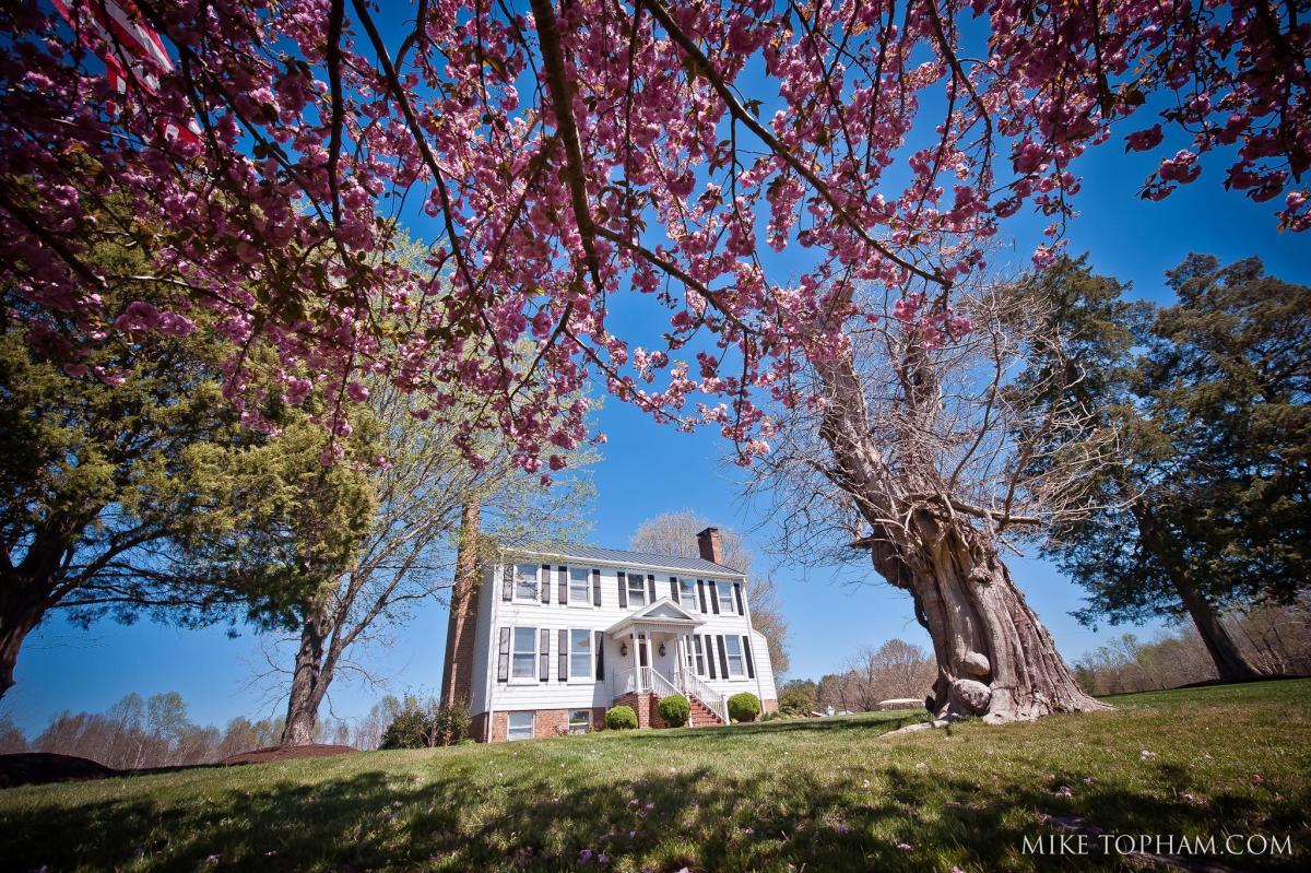 Vineyard Estate at New Kent Winery