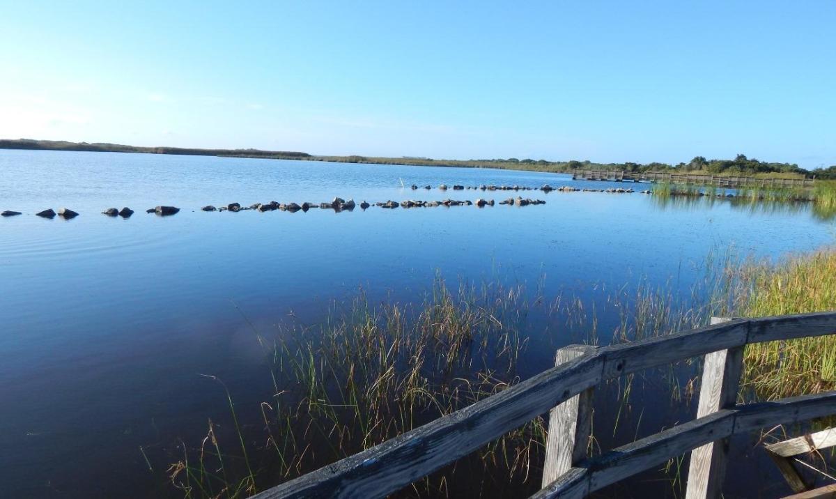 Back Bay National Wildlife Refuge