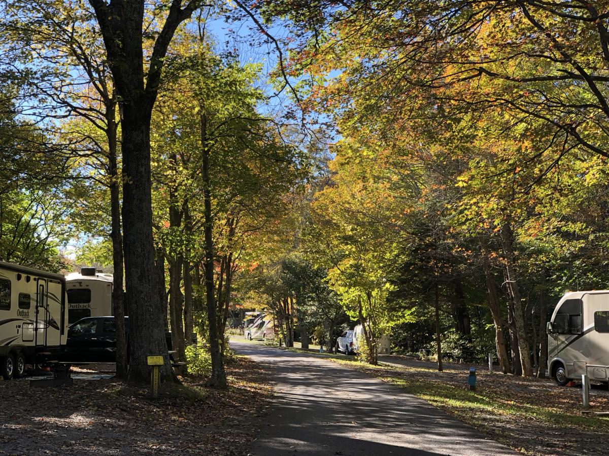 Grayson Highlands State Park Camping and Cabins