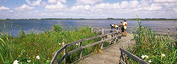 Back Bay National Wildlife Refuge