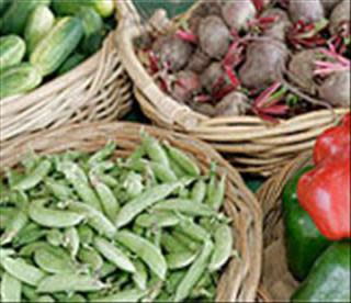 Virginia Beach Farmers Market