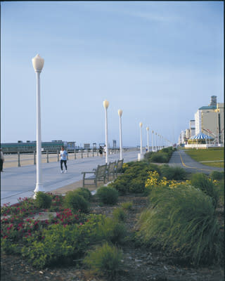 Boardwalk