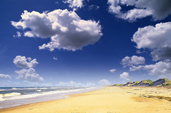 False Cape State Park