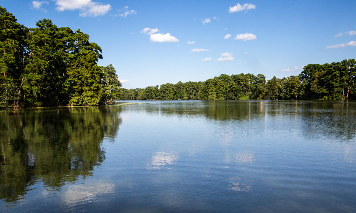 Lake Lawson Lake Smith Natural Area