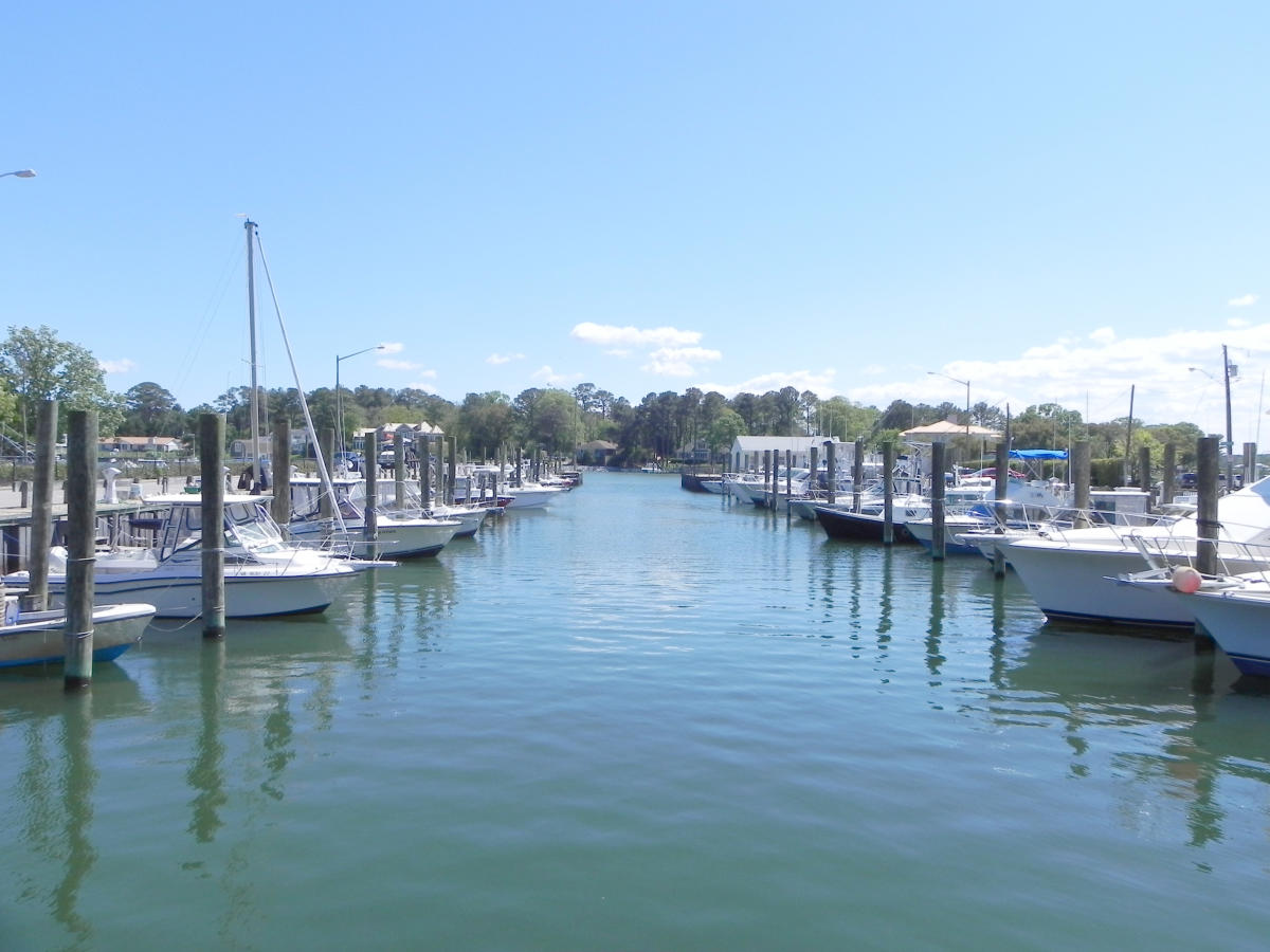 Lynnhaven Marina