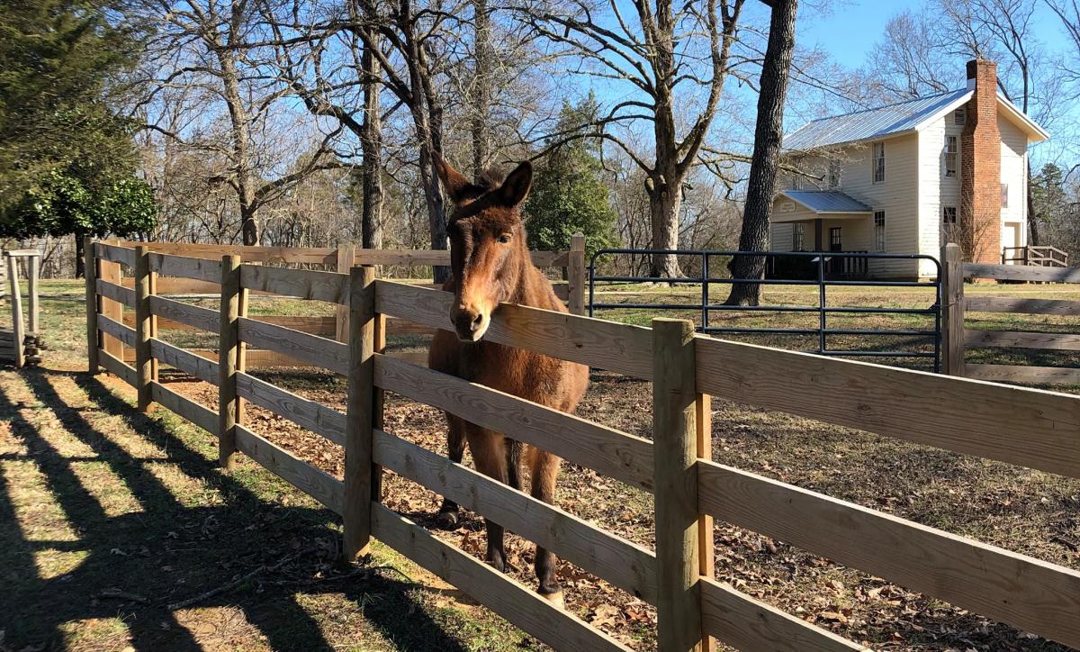 hobby farm grants hobby farm grants