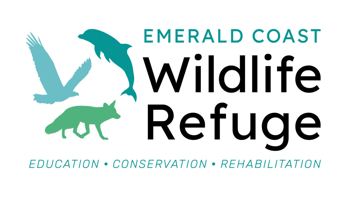 Emerald Coast Wildlife Refuge in Navarre | VISIT FLORIDA
