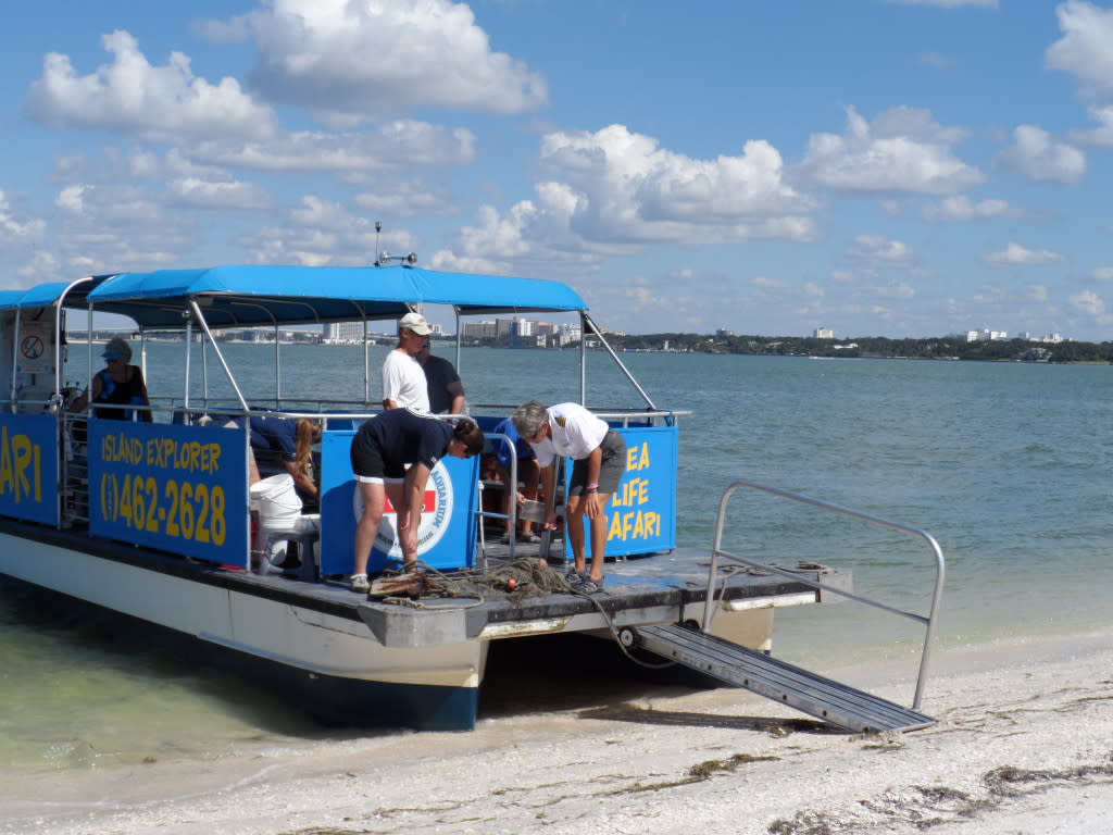 Sea Life Safari in Clearwater VISIT FLORIDA