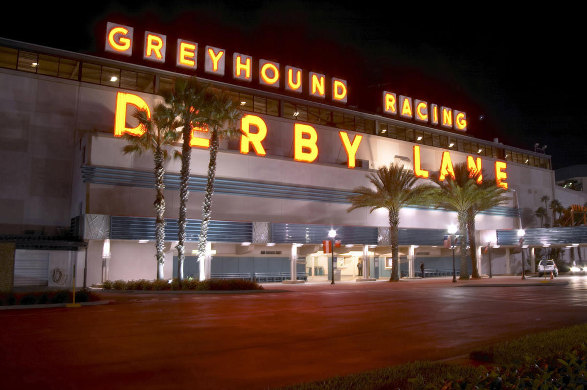 Derby Lane Greyhound Racing in St. Petersburg VISIT FLORIDA
