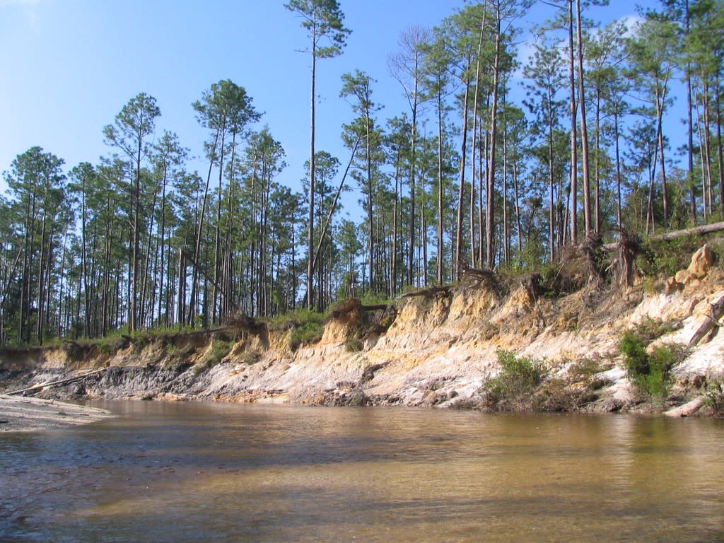 Coldwater Creek Paddling Trail in Milton VISIT FLORIDA