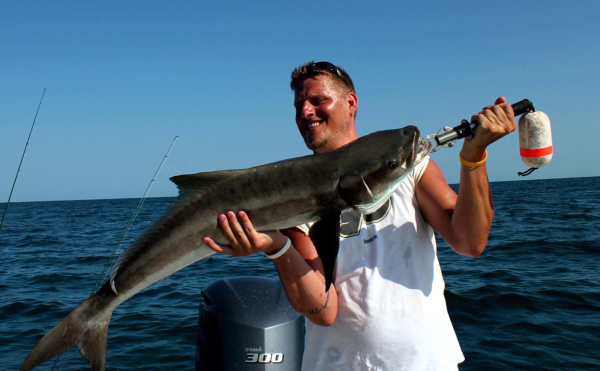 Anna Maria Island Fishing Charters in Anna Maria VISIT FLORIDA