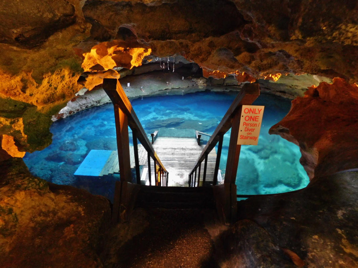 Devil's Den PreHistoric Spring in Williston VISIT FLORIDA
