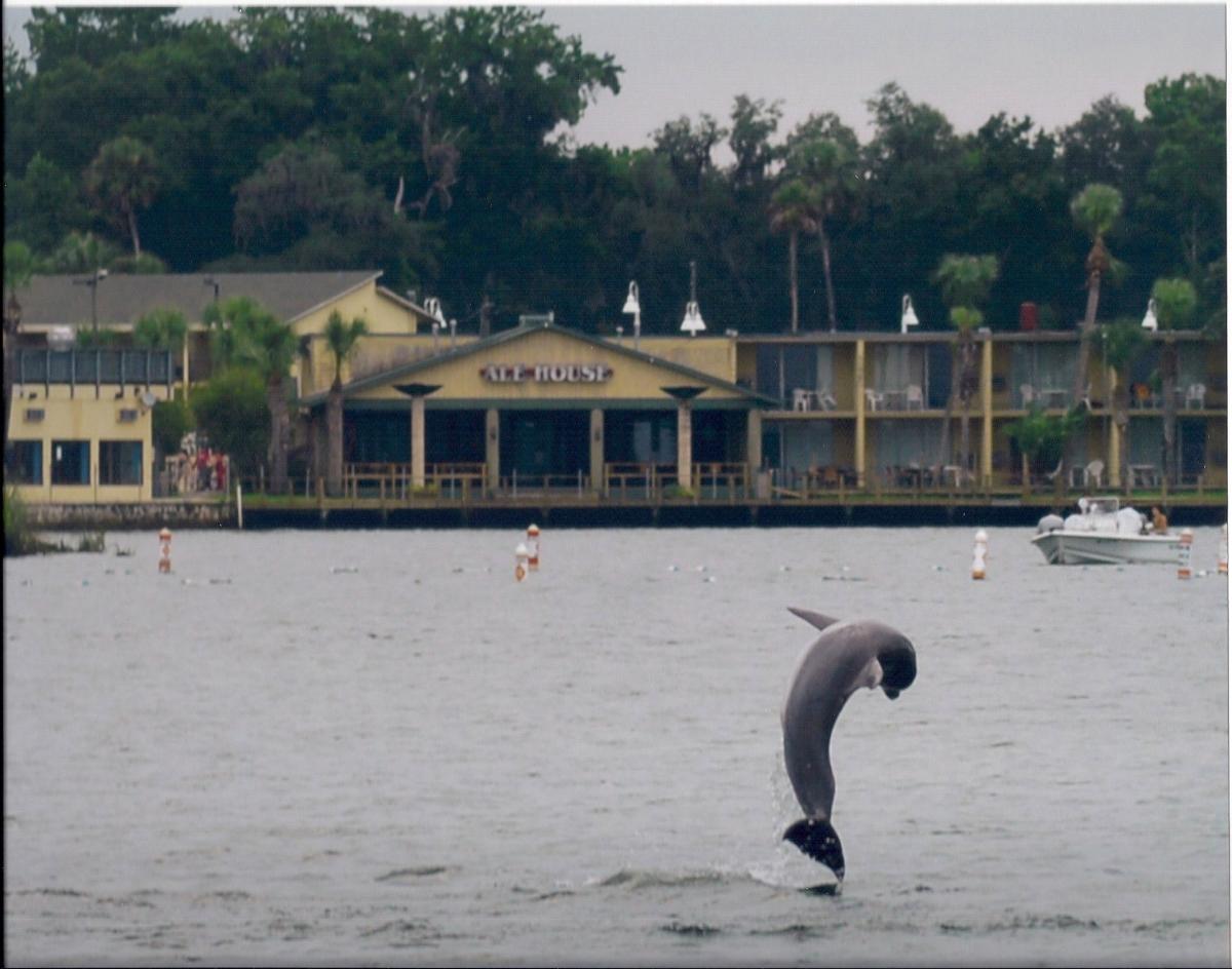 Crystal River Ale House in Crystal River VISIT FLORIDA