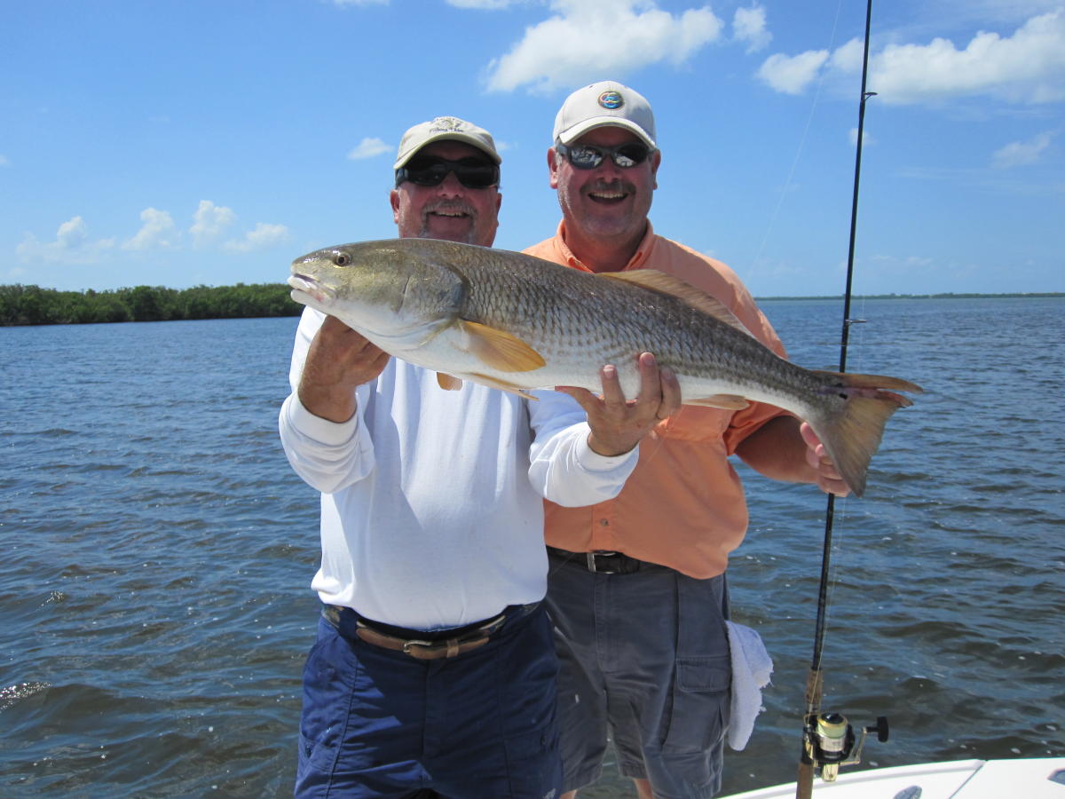 Reel Charter Fishing in Englewood VISIT FLORIDA