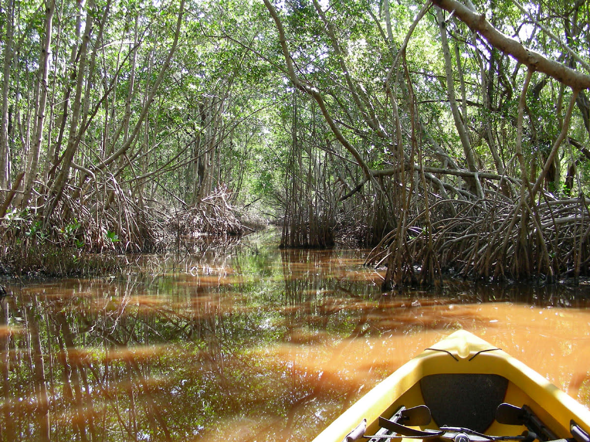 Mud Lake Loop Paddling Trail in Homestead VISIT FLORIDA