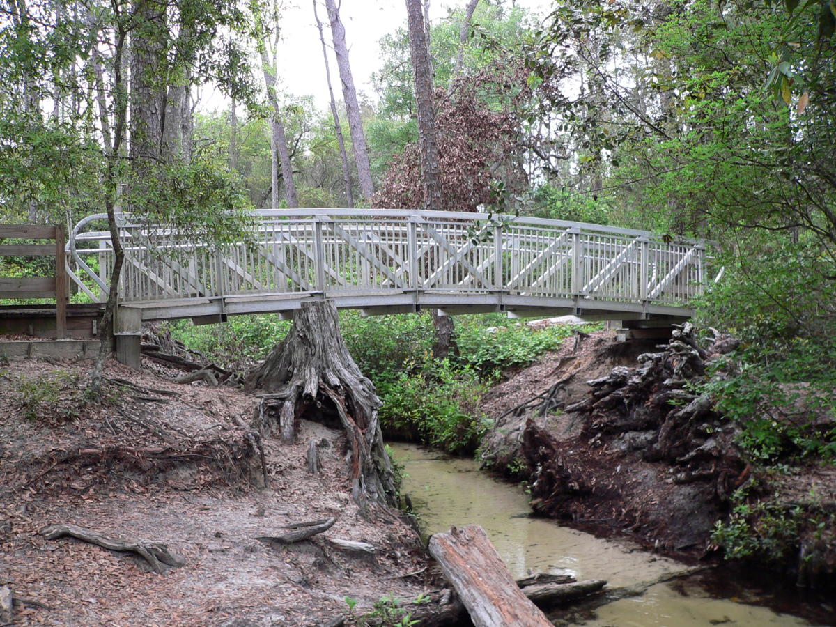 Escape To Tranquility: Unwind At Florida’s Gold Head Branch State Park