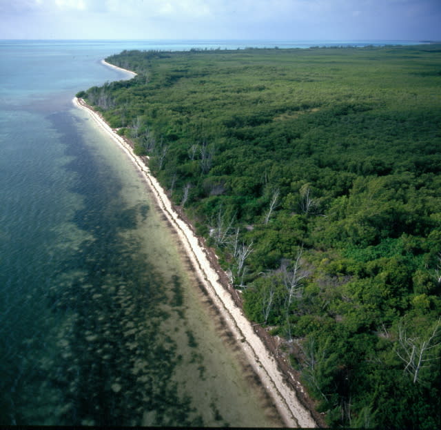 Escape to Paradise: Discover the Hidden Gem of Long Key State Park