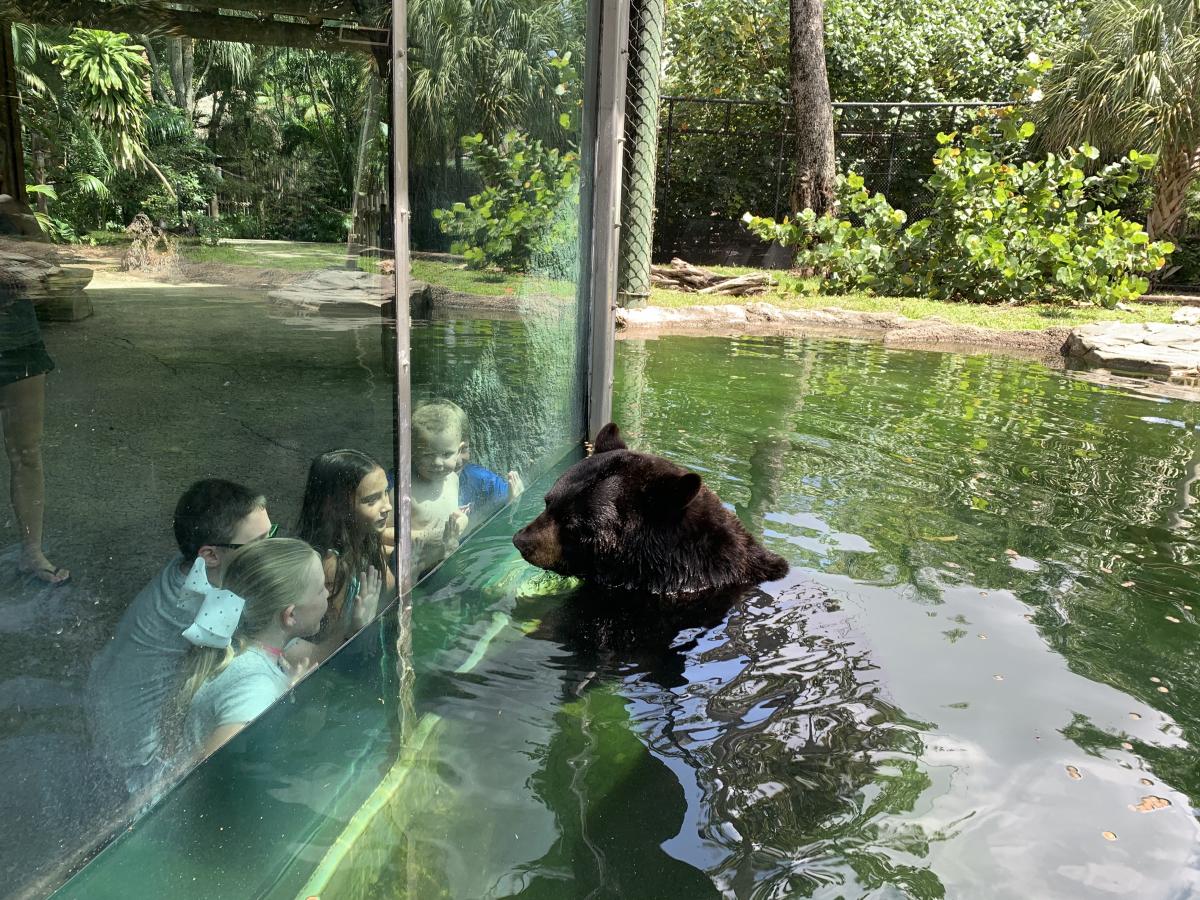 Palm Beach Zoo & Conservation Society in West Palm Beach VISIT FLORIDA