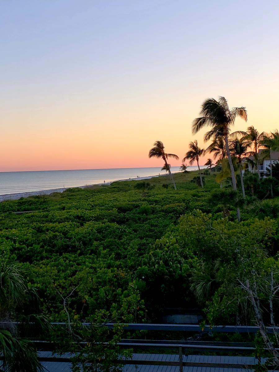 Sanibel Siesta on the Beach in Sanibel Island  VISIT FLORIDA