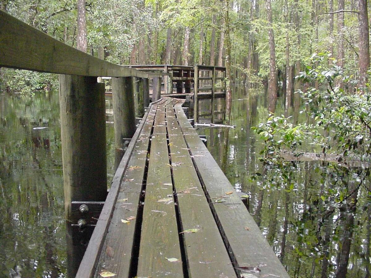 Highlands Hammock State Park in Sebring VISIT FLORIDA