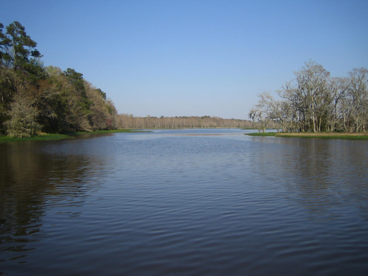 Escape to Serenity: Your Guide to Lake Talquin State Park