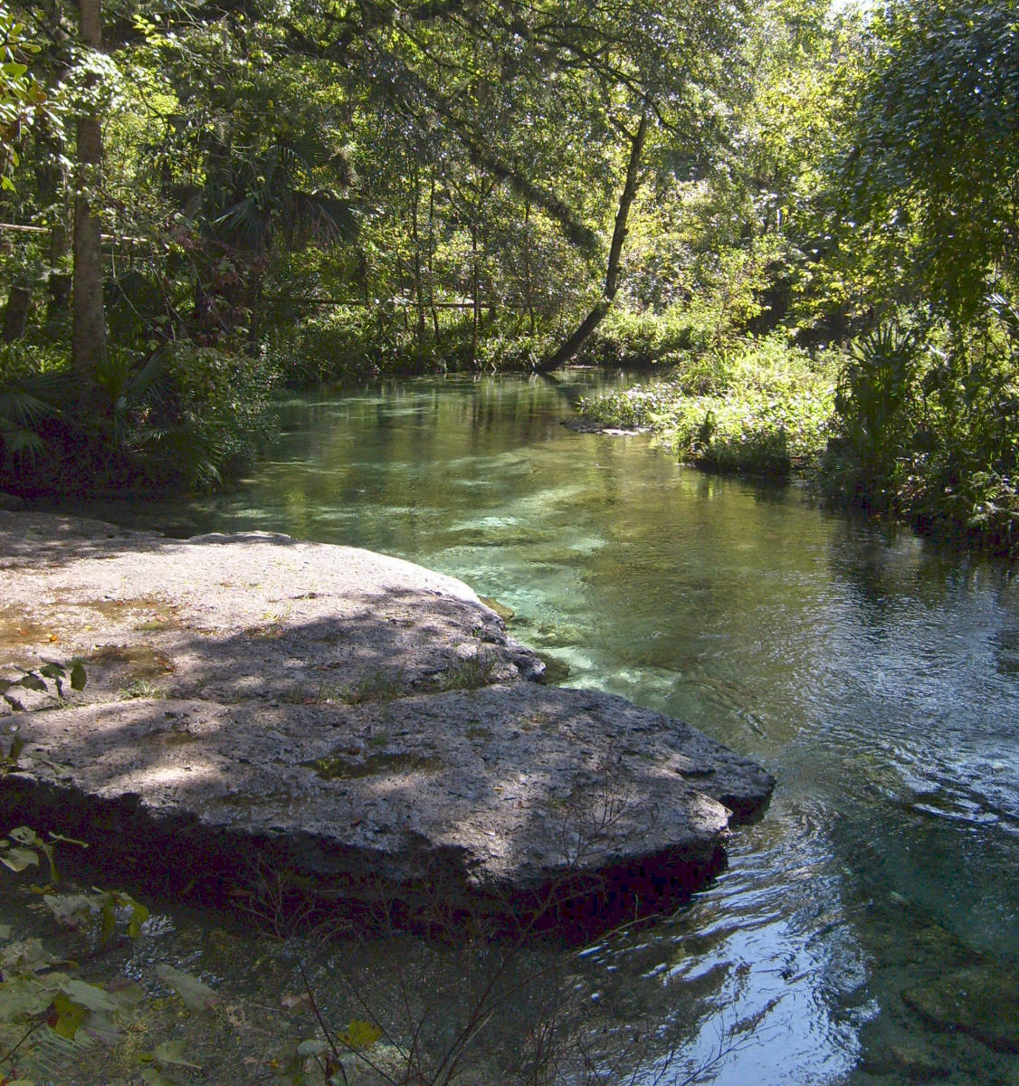 Rock Springs Run State Reserve in Sorrento VISIT FLORIDA