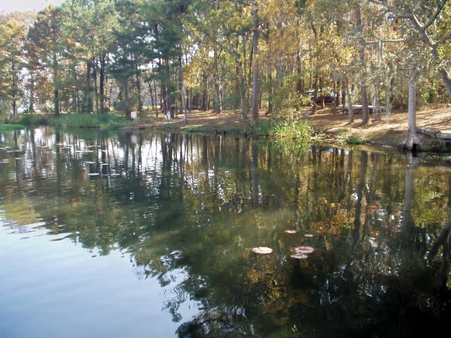 Escape to Nature's Embrace: Your Guide to Florida's Three Rivers State Park