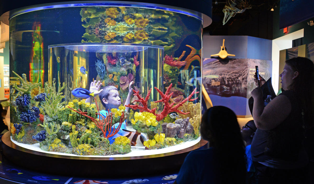 South Florida Science Center and Aquarium in West Palm Beach VISIT