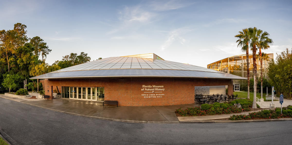 Florida Museum of Natural History in Gainesville VISIT FLORIDA