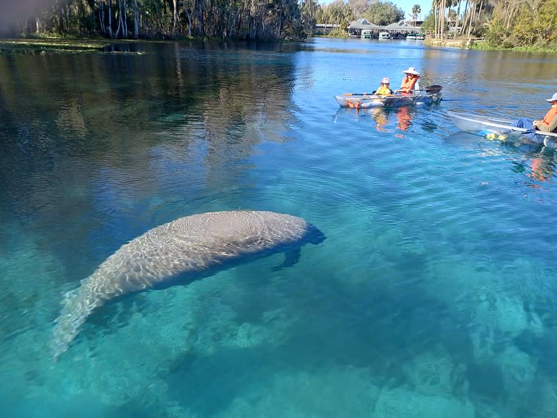 Epic Paddle Adventures in Orlando VISIT FLORIDA