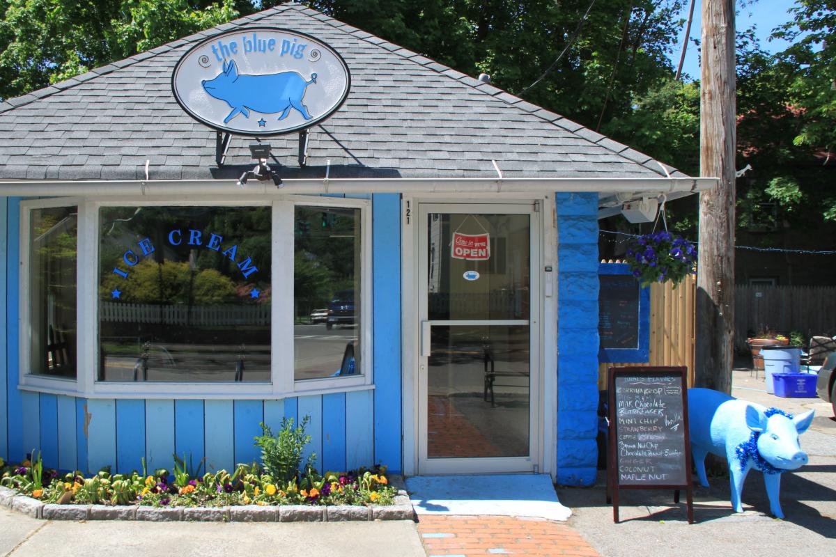 The Blue Pig