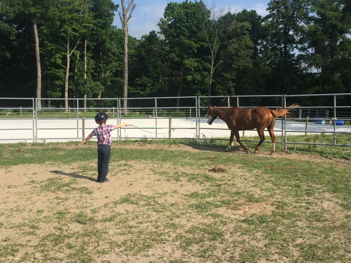Wild About Horses Equestrian Center